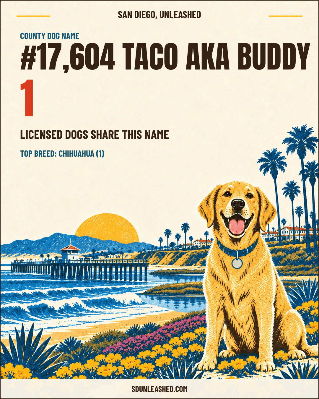 Taco aka Buddy share card