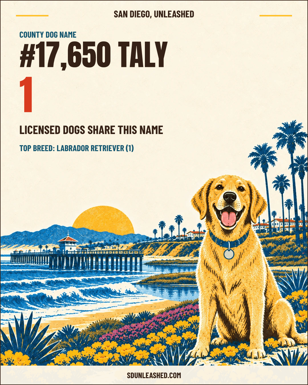 Taly share card