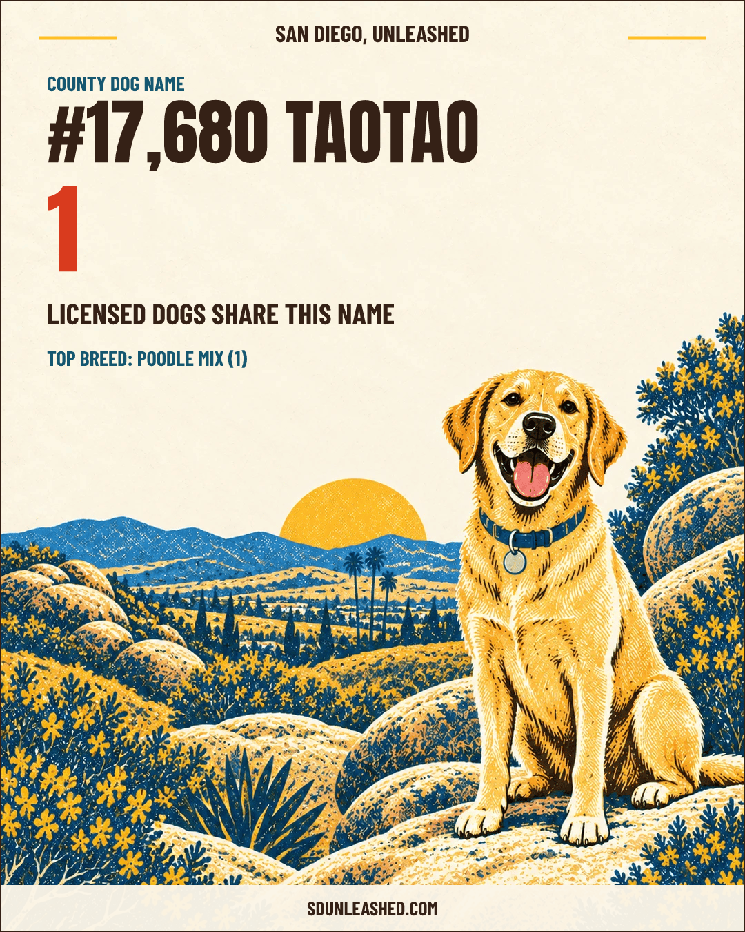 taotao share card