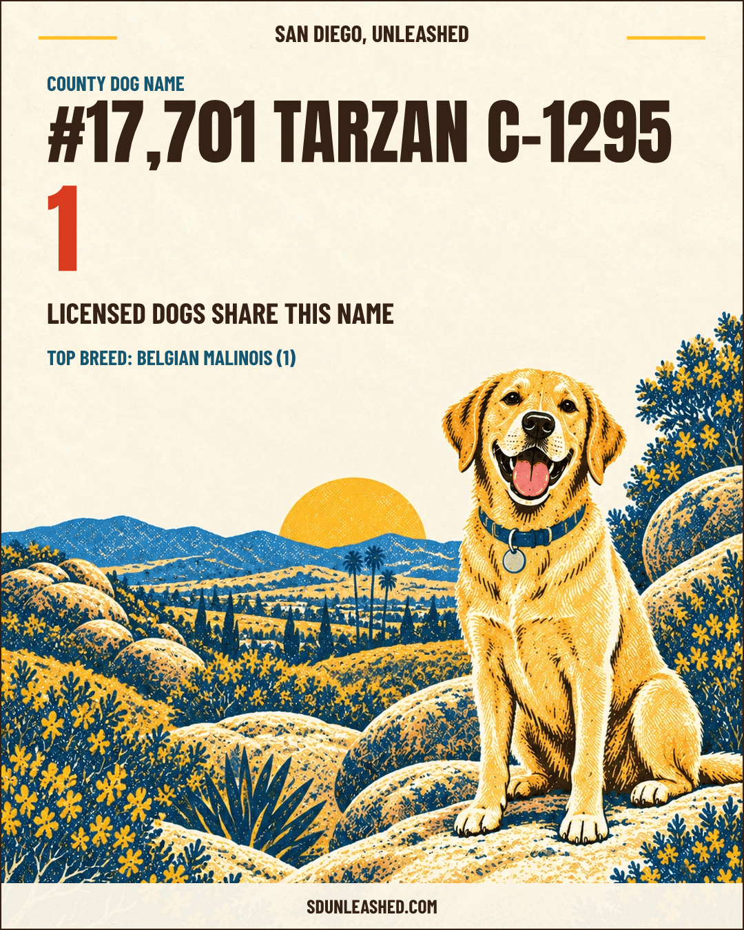 Tarzan C-1295 share card