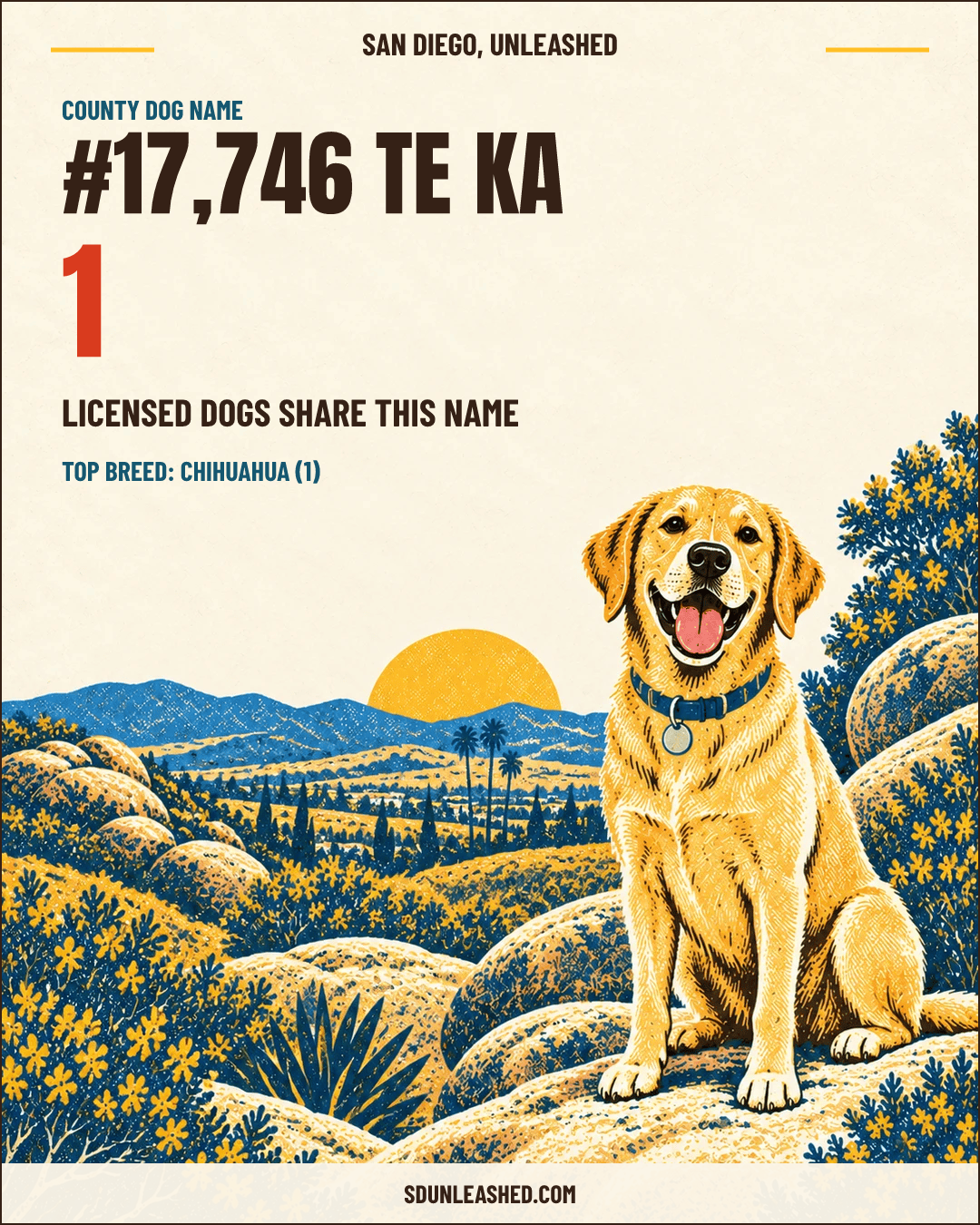 Te Ka share card