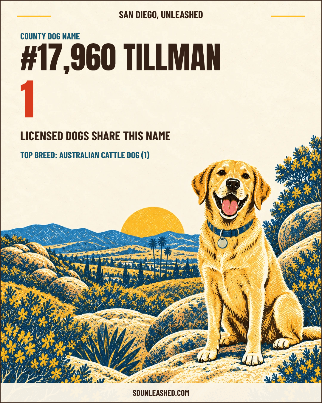 TILLMAN share card