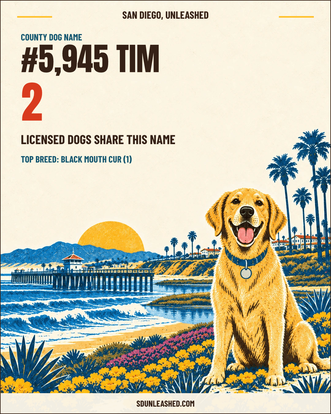 Tim share card