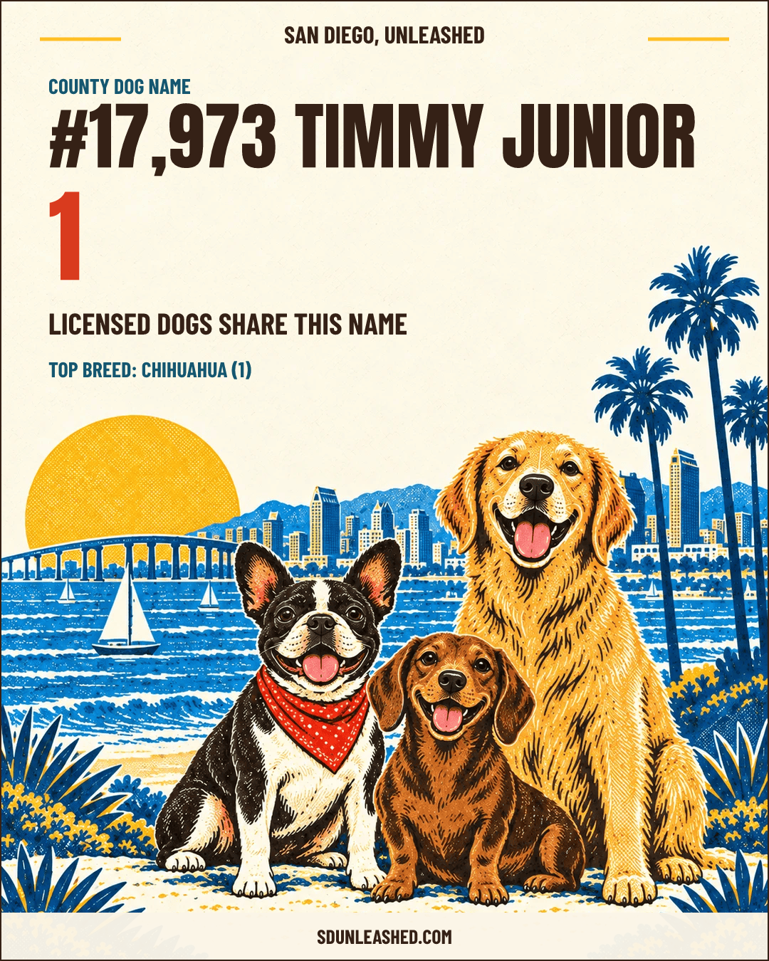 Timmy Junior share card