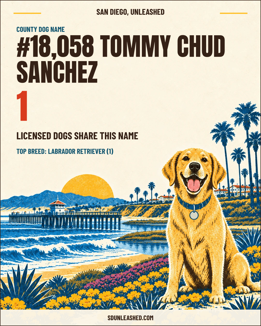 Tommy Chud Sanchez share card