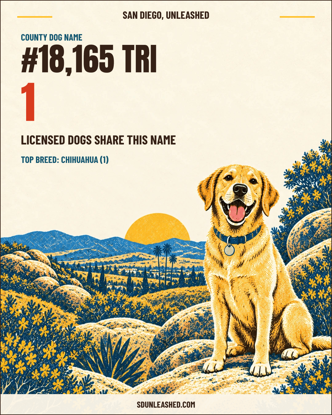 Tri share card