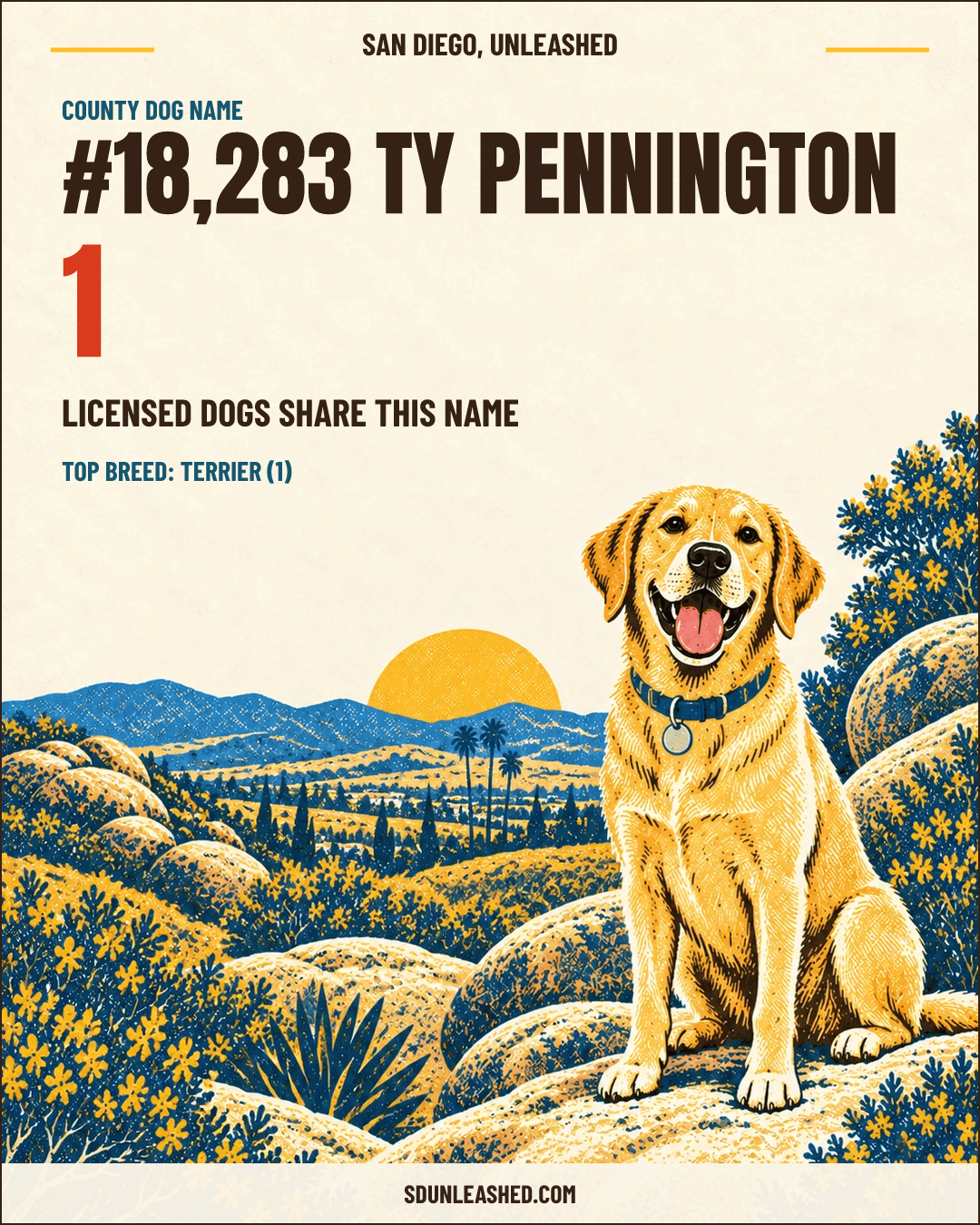Ty Pennington share card