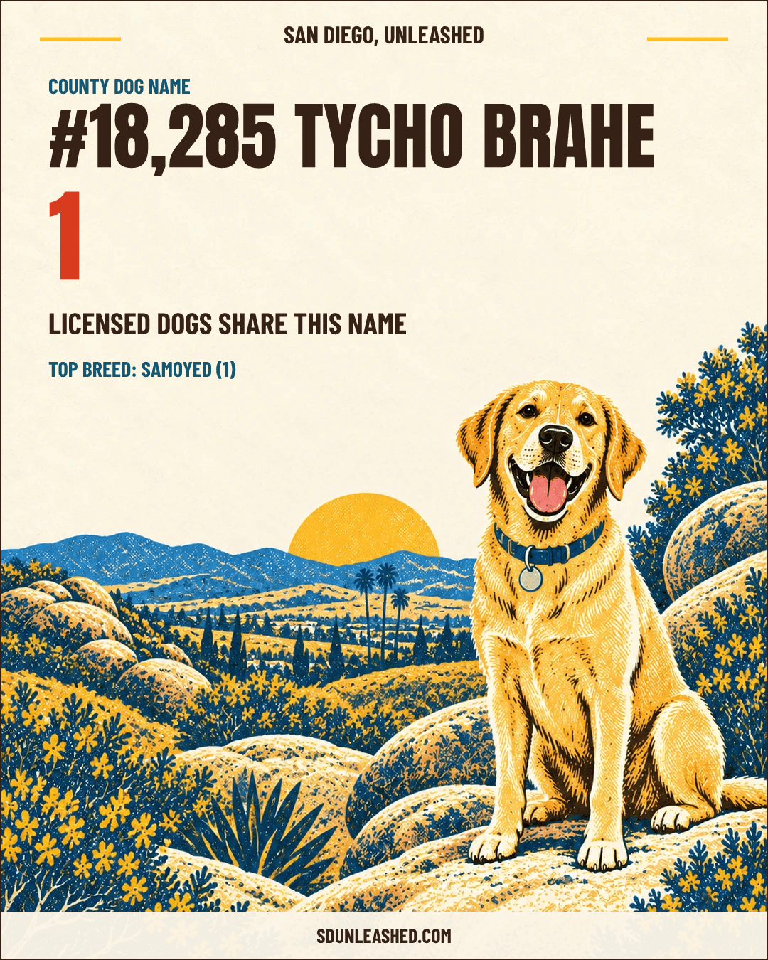 Tycho Brahe share card