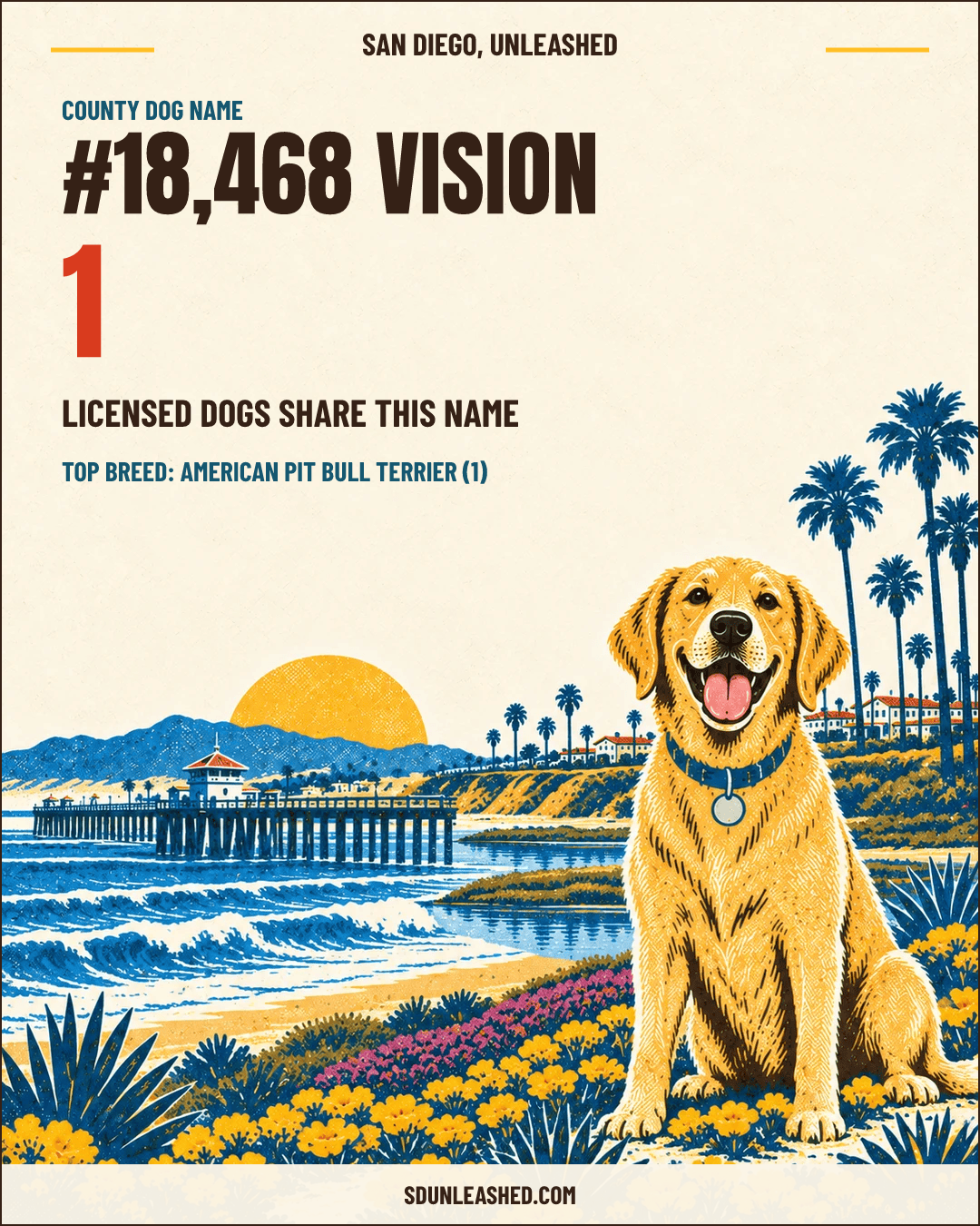 Vision share card