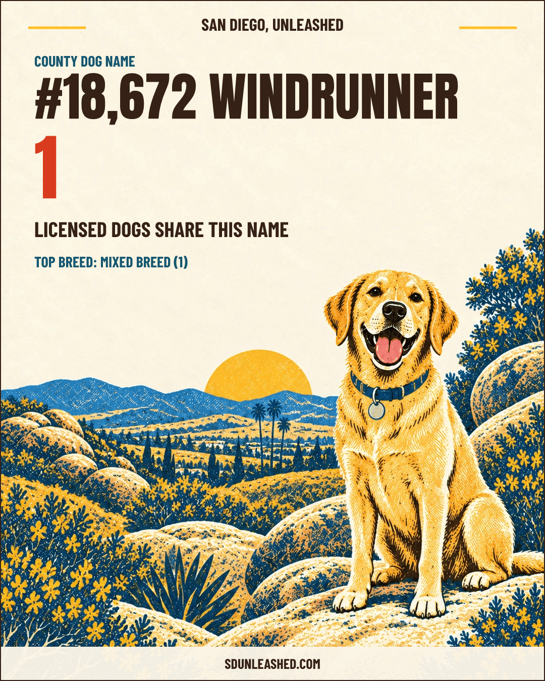 Windrunner share card