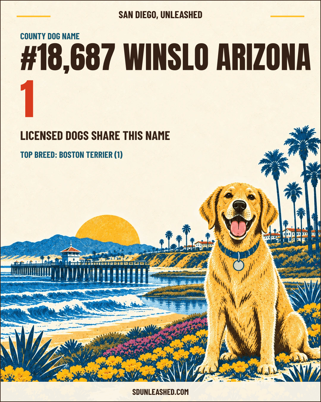 Winslo Arizona share card