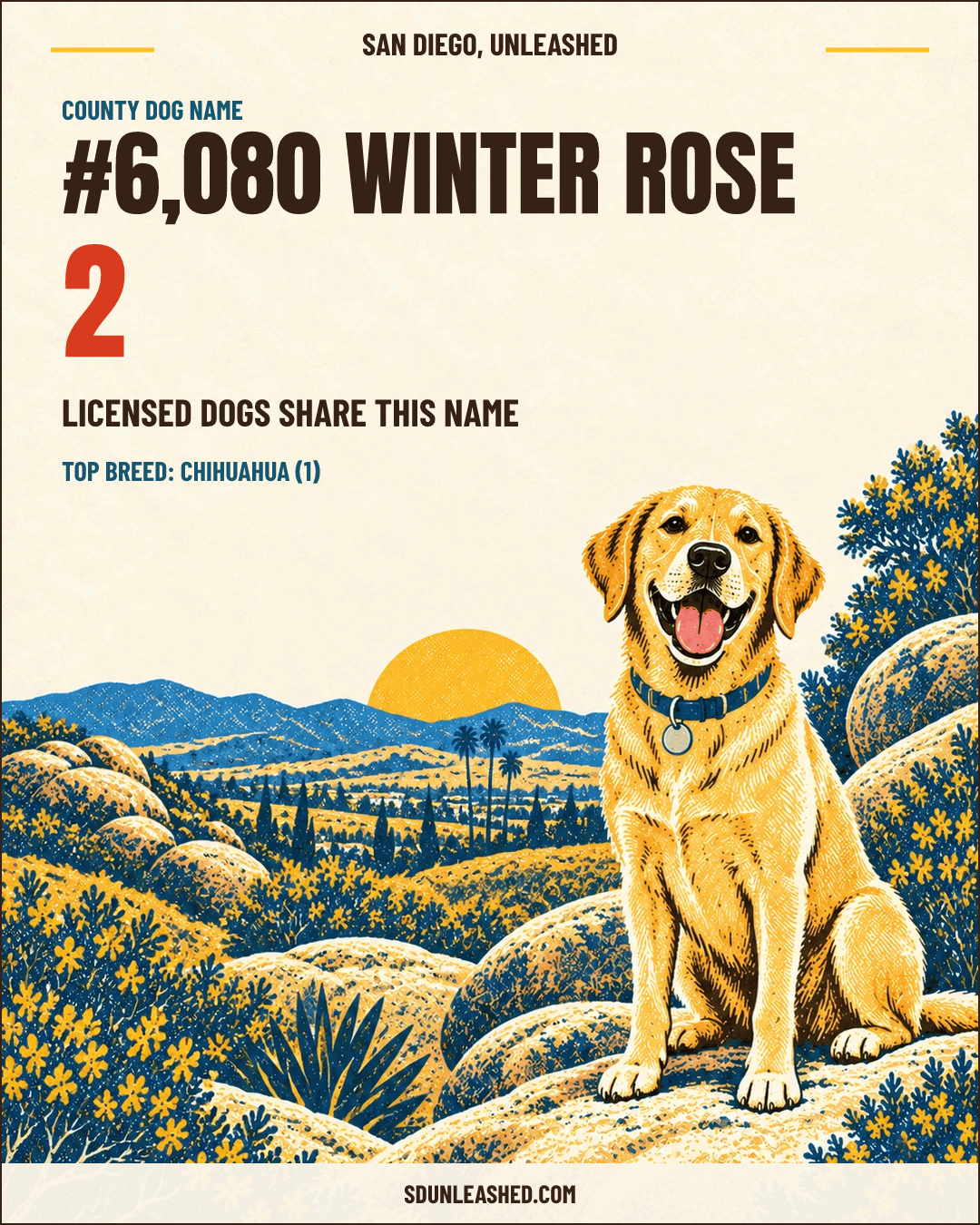 Winter Rose share card