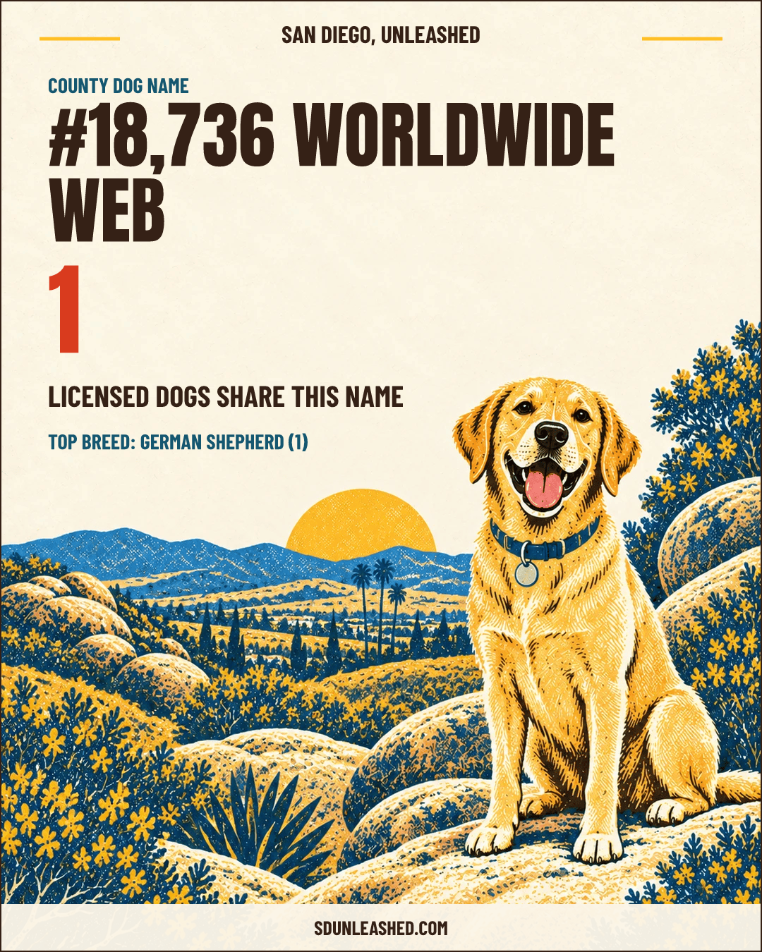 Worldwide Web share card