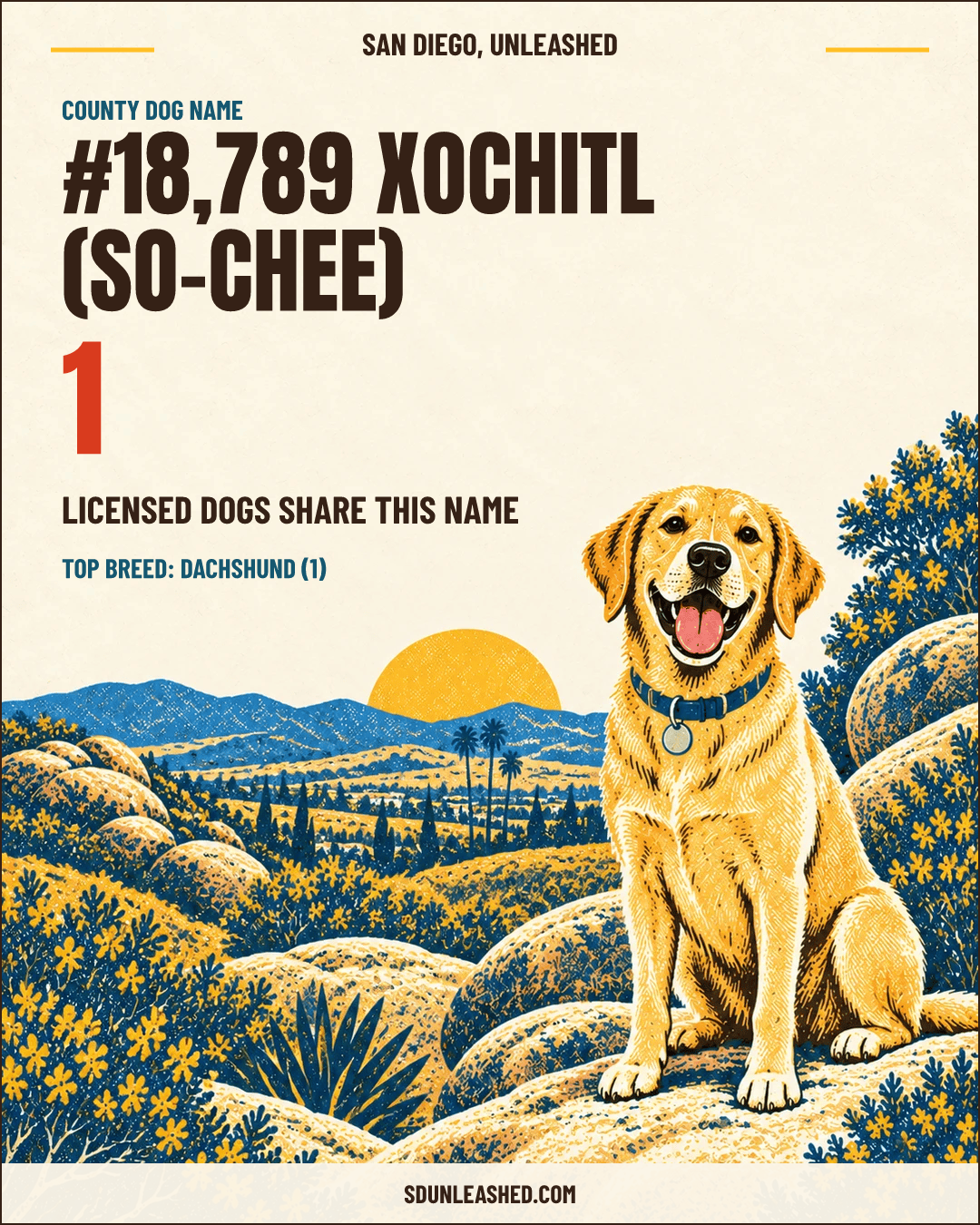 Xochitl (So-Chee) share card