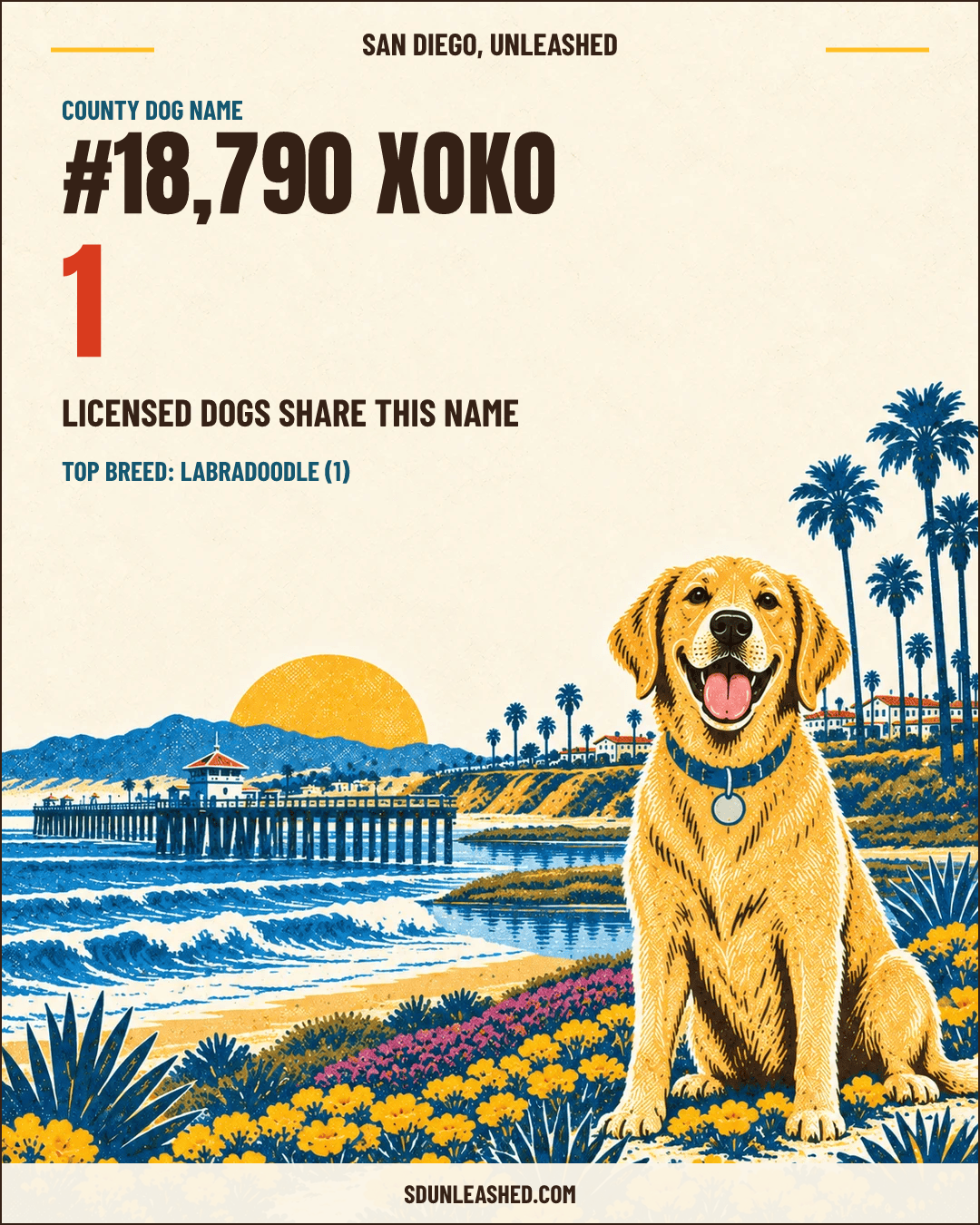 Xoko share card