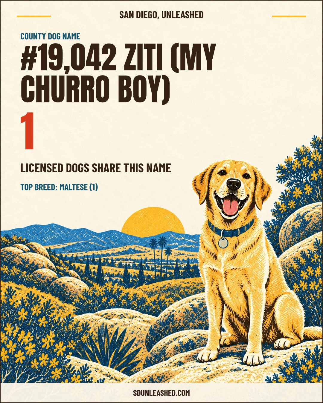 Ziti (my Churro Boy) share card