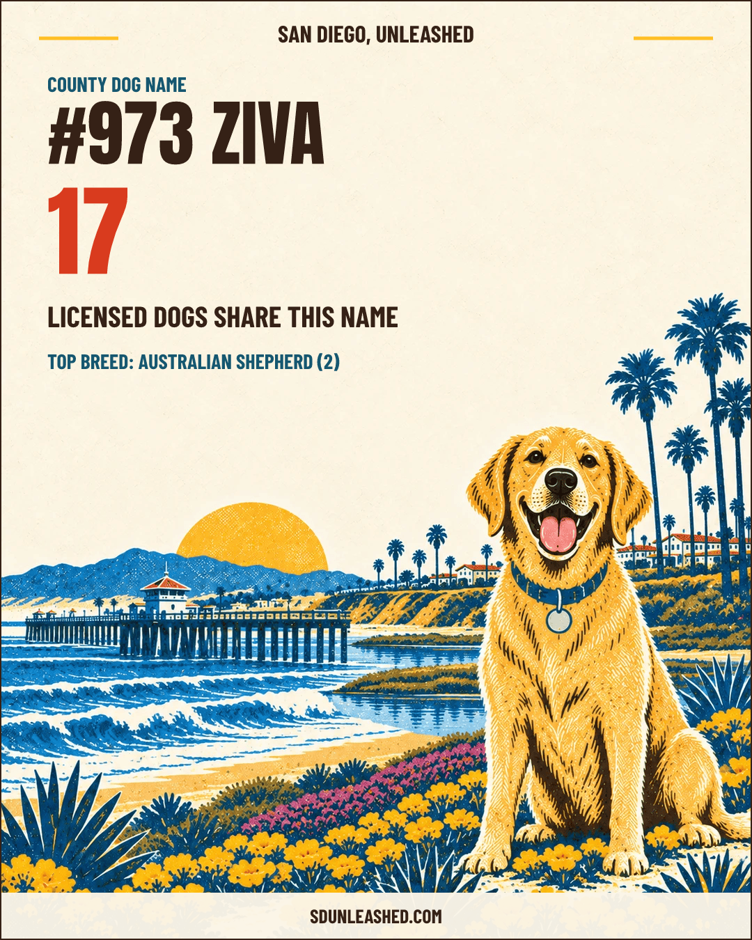 Ziva share card